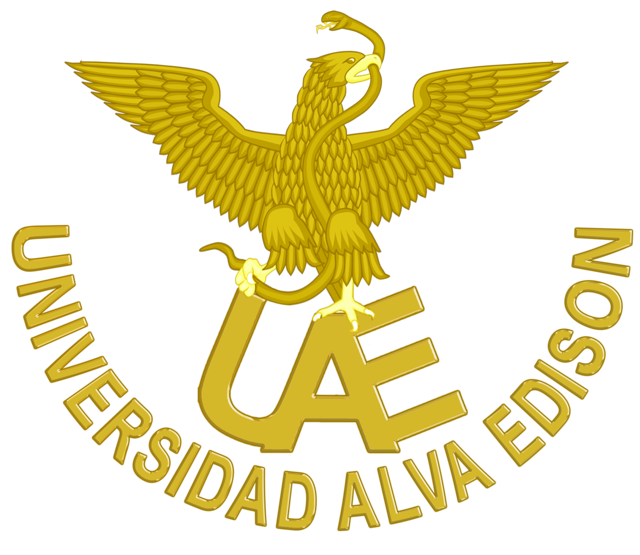 Universidad Alva Edison Logo